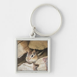 Chaveiro Chipmunk numa pilha de madeira