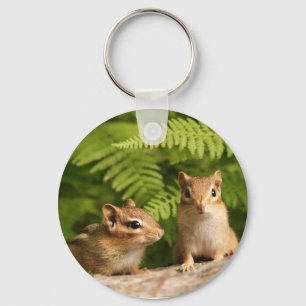Chaveiro Chipmunks adoràvel curiosos do bebê