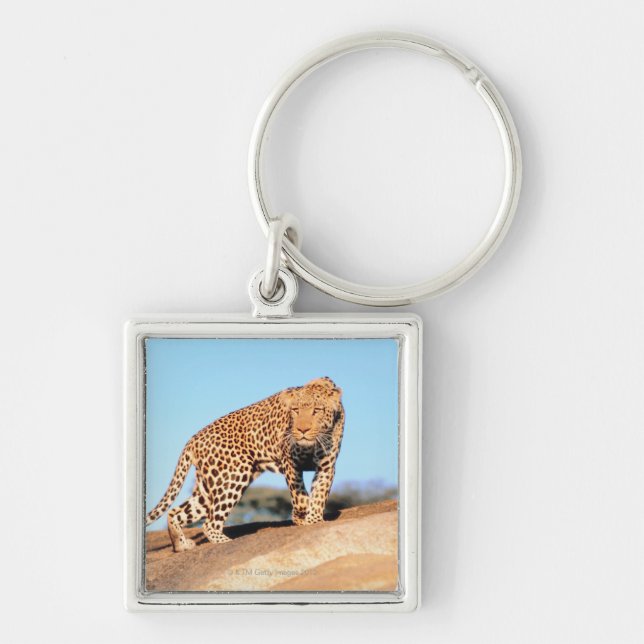 Chaveiro Chita (Frente)