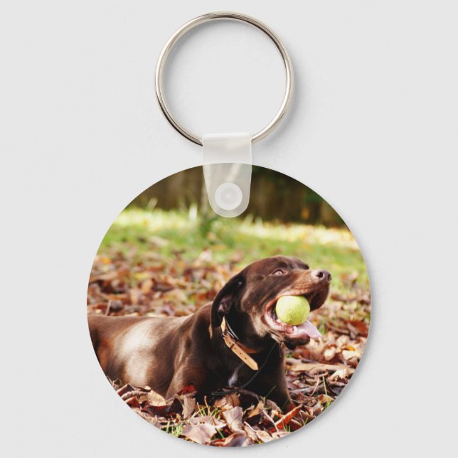 Chaveiro Chocolate Labrador Brincando Com Bola (Frente)