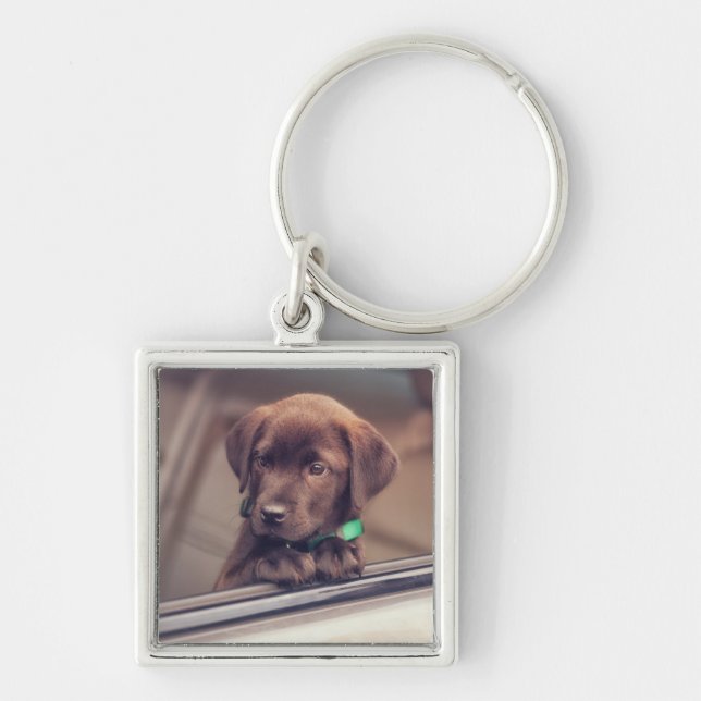 Chaveiro Chocolate Labrador Puppy No Carro (Frente)