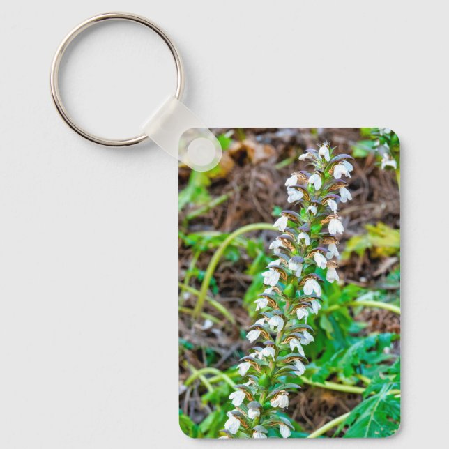 Chaveiro Chupas de urso (Frente)