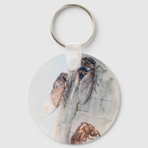 CHAVEIRO CICADA 2