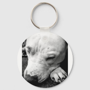 Chaveiro cicatriz do harry potter cachorro pit bull branco
