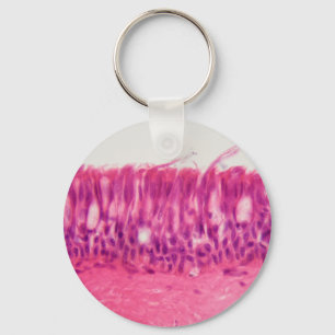 Chaveiro Ciliated epithelium under the microscope.