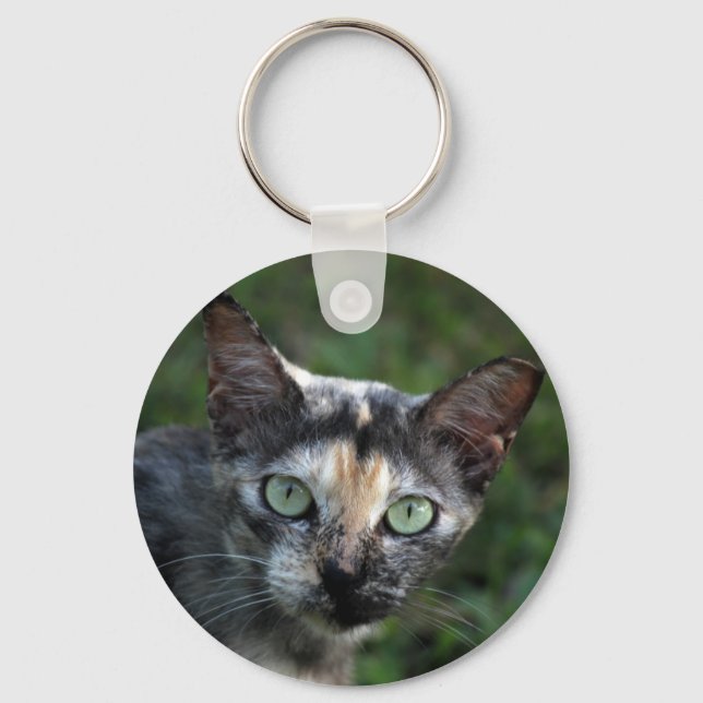 Chaveiro Cinza de Gato Branco Castanho com Olhos Verdes (Frente)