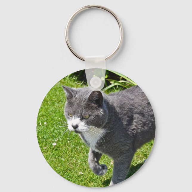 Chaveiro Cinza e cadeia de teclas de gato branco (Frente)