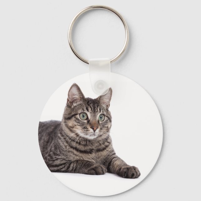 Chaveiro Cinza Tabby Cat (Frente)