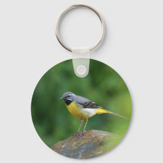 Chaveiro Cinza Wagtail - pássaro