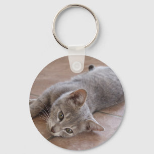Chaveiro cinzento do gato