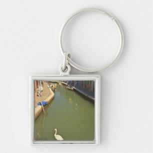 Chaveiro Cisnes no canal, Ilha de Burano, Veneza, Itália
