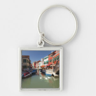 Chaveiro Cisnes no canal, Ilha de Burano, Veneza, Itália