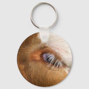 Chaveiro Clássico de Olhos de Highland Cow
