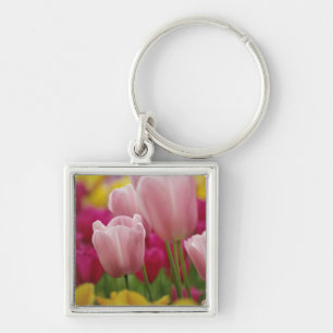 Chaveiro Close-up da flor de tulipa, Jardins Kuekenhof,