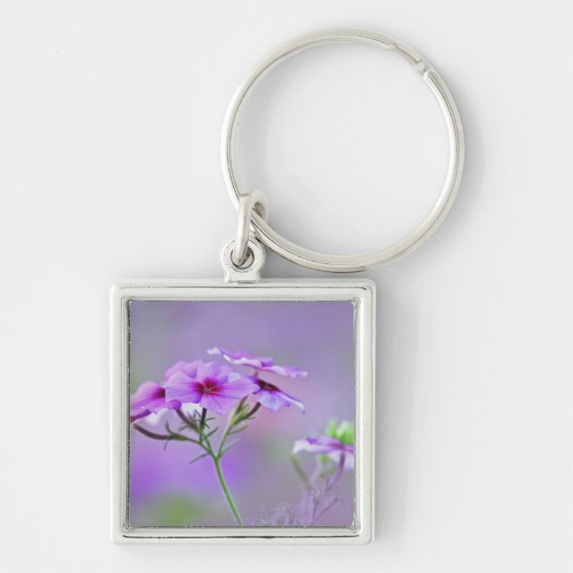 Chaveiro Close-up de Phlox Drummond, Phlox drummondi, (Frente)