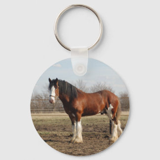 Chaveiro clydesdale