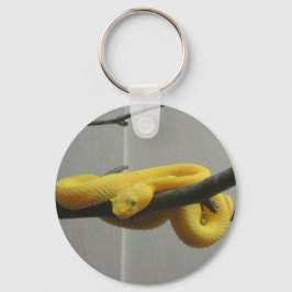 Chaveiro Cobra