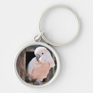 Chaveiro Cockatoo Molucano