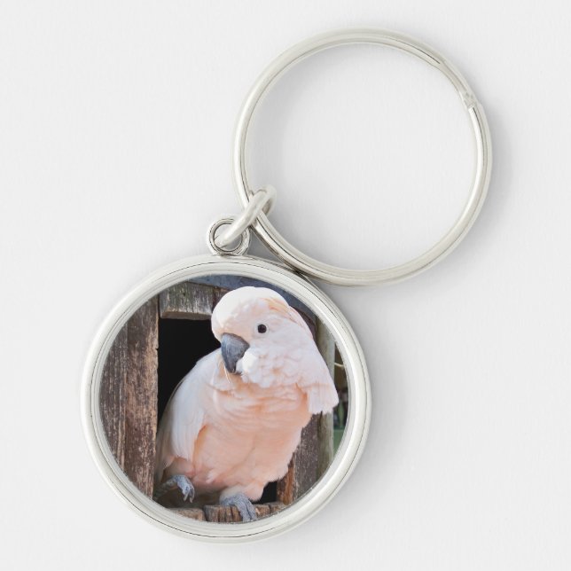 Chaveiro Cockatoo Molucano (Frente)