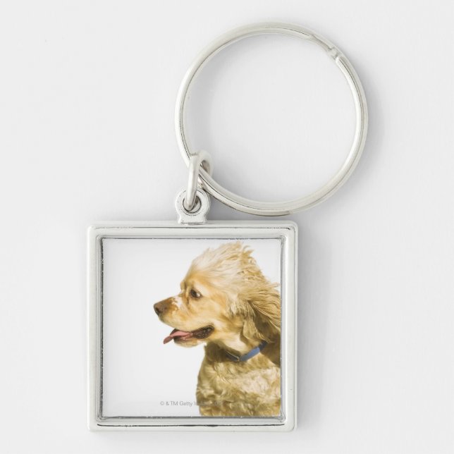 Chaveiro Cocker spaniel (Frente)
