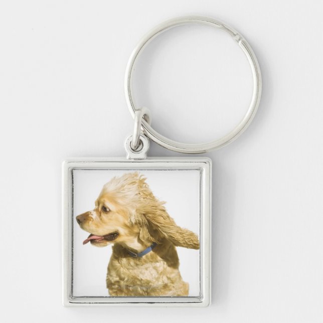 Chaveiro Cocker spaniel (Frente)