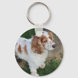 Chaveiro cocker spaniel inglês laranja e branco completo