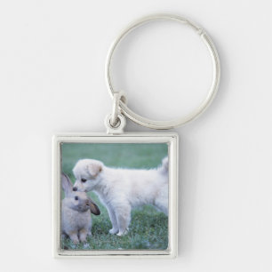 Chaveiro Coelho do filhote de cachorro e da orelha do Lop