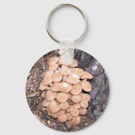 Chaveiro cogumelos de mel sem ferrão