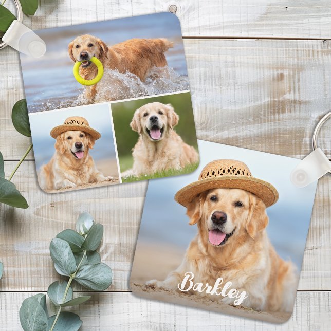 Chaveiro Colagem de Fotos Personalizada de 4 Cachorros de P (Criador carregado)