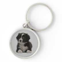 Colar de Cachorro Border Collie Azul