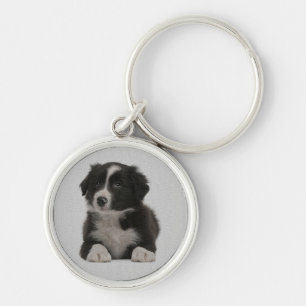 Chaveiro Colar de Cachorro Border Collie Azul
