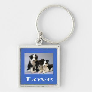 Chaveiro Colar de Cachorro Border Collie Azul Amor