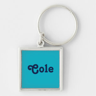 Chaveiro Cole de Cadeia de Chave