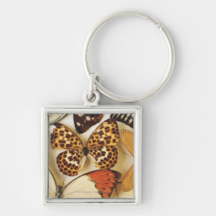 Chaveiro Coleção da borboleta