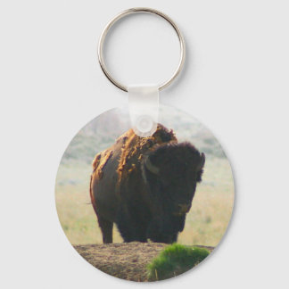 Chaveiro Coleção de Buffalo II