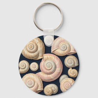 Chaveiro Coleção de Conchas Marinhas Espirais Bege Rosa Náu