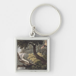 Chaveiro Coletor mexicano do lagarto, gravado por Matthew