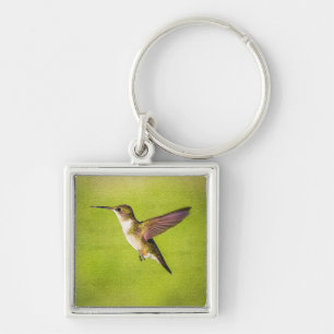 Chaveiro Colibri da aguarela