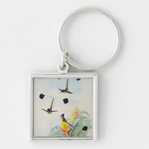 Chaveiro Colibri, gravado por Walter e por Cohn