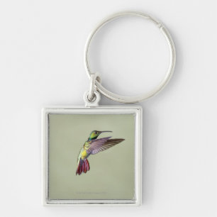 Chaveiro Colibri Verde-breasted Anthracocorax 2 da manga