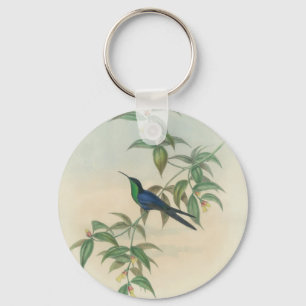 Chaveiro Colibri verde e azul de Gould