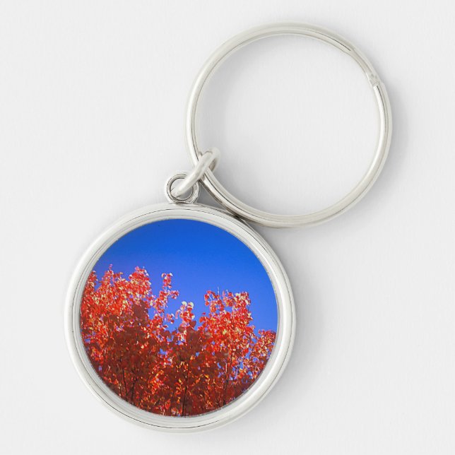 Chaveiro com foto de outono (Frente)