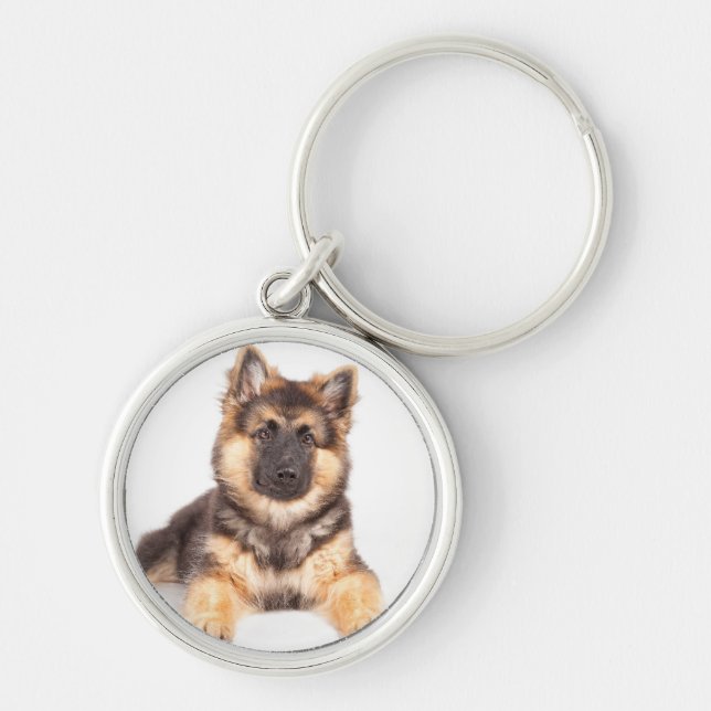 Chaveiro Combinação de German shepherd de Collie de Borda (Frente)