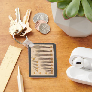 Chaveiro Cometas por Stanislaw Lubieniecki, Astronomia Anti