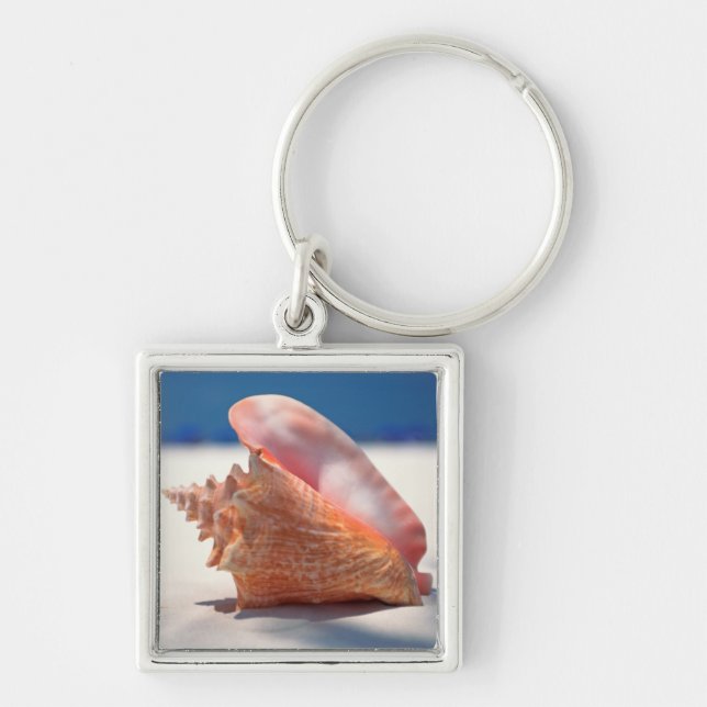 Chaveiro Conch Shell na praia 2 (Frente)