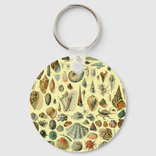 Chaveiro Concha de Molusco Marisco Elegante Arte Clássica
