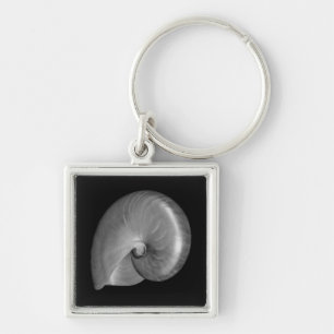 Chaveiro Concha de Nautilus Preta e Branca