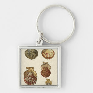 Chaveiro Conchas Antigas Raspadas