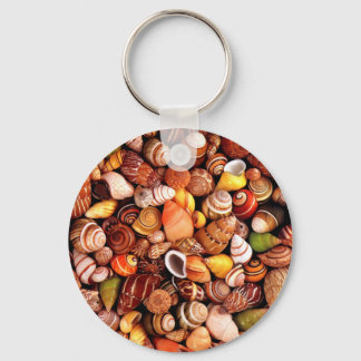 Chaveiro Conchas marítimas