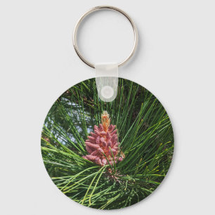 Chaveiro Cone de pólen de pinheiro vermelho (Pinus resinosa